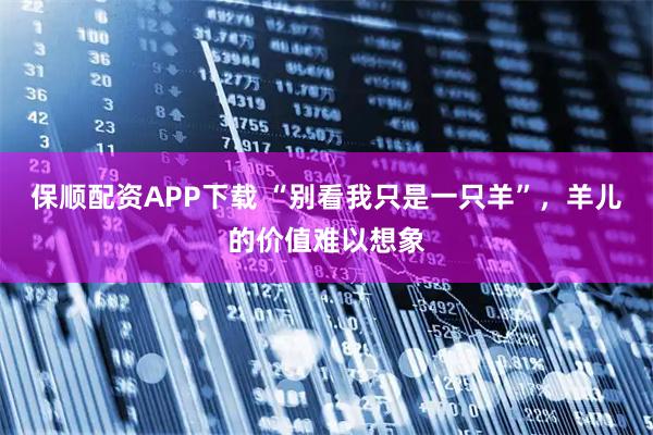 保顺配资APP下载 “别看我只是一只羊”，羊儿的价值难以想象